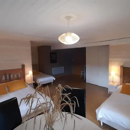 Les D'hotes Le Triskele Bed & Breakfast Rochepaule