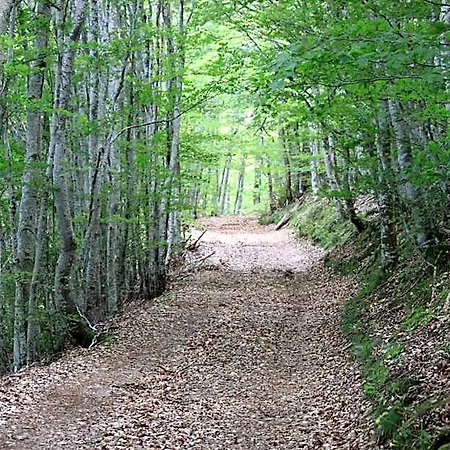 Les D'hotes Le Triskele Rochepaule