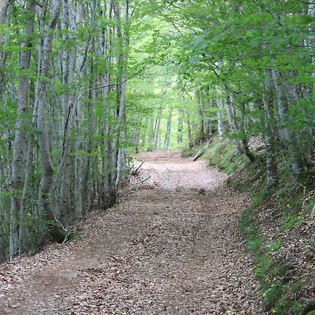 Les D'hôtes Le Triskèle